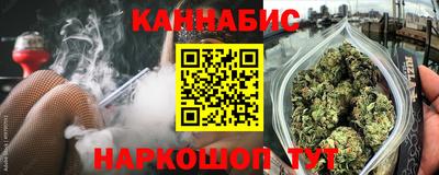 гидра Кингисепп