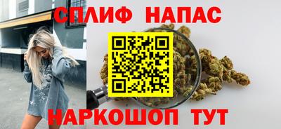 гидра Кингисепп