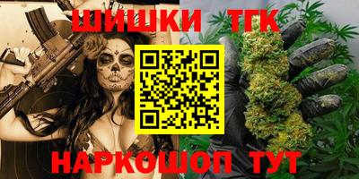 гидра Кингисепп