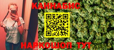 гидра Кингисепп