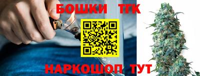 гидра Кингисепп