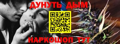 гидра Кингисепп