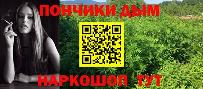 гидра Кингисепп