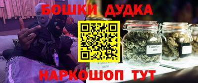 гидра Кингисепп