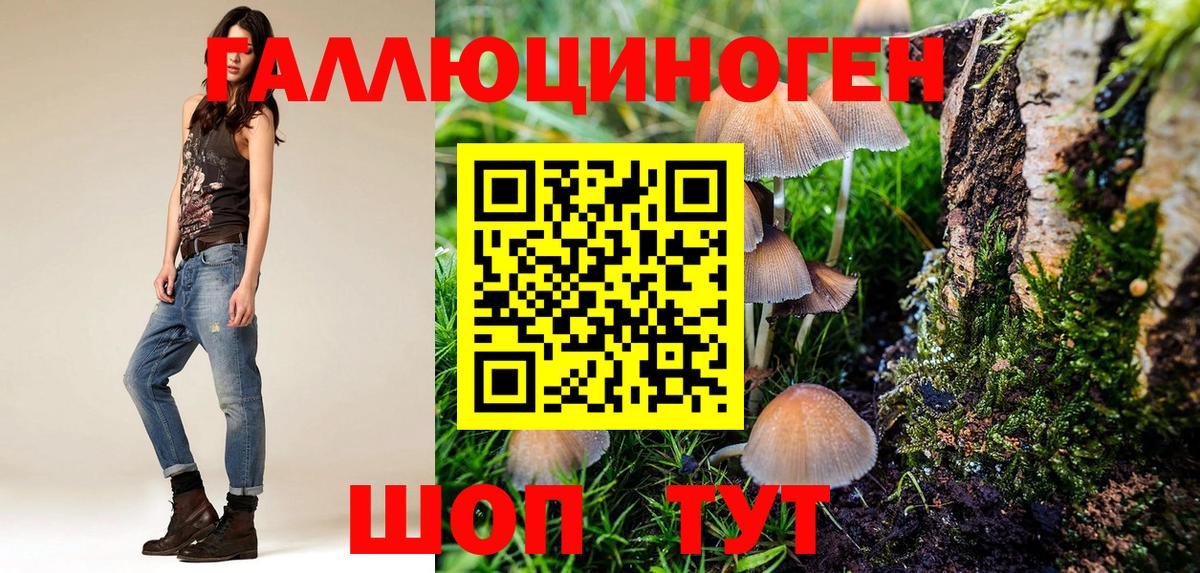 Лабинск  магазин продажи   Вход с VPN  Псилоцибиновые грибы прущие грибы 